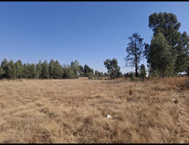 16,225M² SMALLHOLDING FOR SALE IN MIDDELVLEI AH